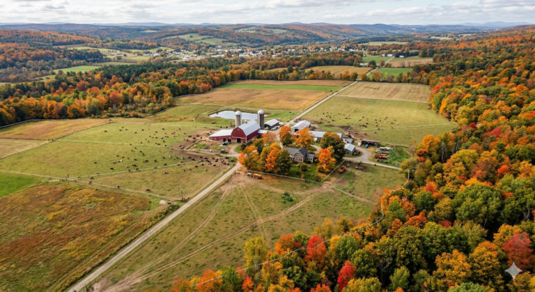 Vadvillanypásztor tervezése és üzemeltetése – általános elvek, helyszínek, szezonalitás